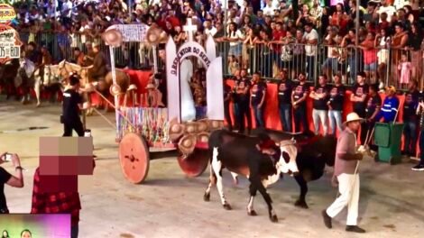familia-estima-vence-o-festival-de-carro-de-boi-de-flores-2025-com-homenagem-ao-padre-cicero