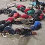 pm-interrompe-rinha-de-galos-e-resgata-35-animais-na-zona-rural-de-princesa-isabel
