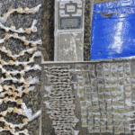 mulher-e-presa-com-grande-quantidade-de-drogas-em-residencia-na-zona-norte-do-recife