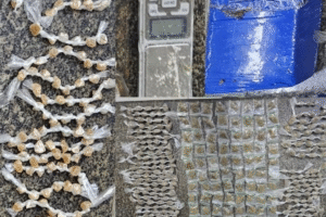 mulher-e-presa-com-grande-quantidade-de-drogas-em-residencia-na-zona-norte-do-recife