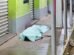 serra-talhadense,-de-28-anos,-e-morto-a-tiros-em-bar-neste-domingo