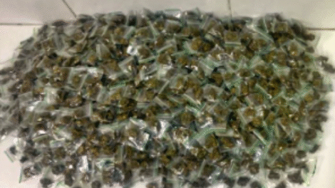 policia-estoura-ponto-de-drogas-com-mais-de-mil-porcoes-de-maconha-em-agua-fria