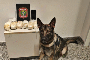 homem-e-preso-com-3,4-kg-de-cocaina-no-aeroporto-do-recife-apos-denuncia-de-nervosismo