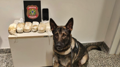 homem-e-preso-com-3,4-kg-de-cocaina-no-aeroporto-do-recife-apos-denuncia-de-nervosismo