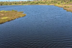 boato-sobre-c0rpo-na-barragem-de-brotas-movimenta-afogados