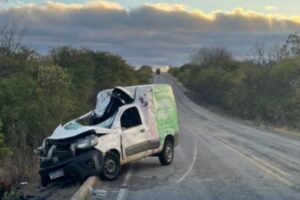 acidente-na-pe-390-deixa-vaca-morta-e-motorista-ferido-apos-colisao-frontal