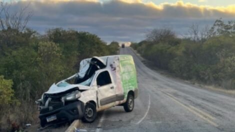 acidente-na-pe-390-deixa-vaca-morta-e-motorista-ferido-apos-colisao-frontal