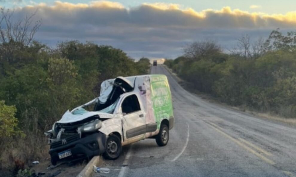 acidente-na-pe-390-deixa-vaca-morta-e-motorista-ferido-apos-colisao-frontal