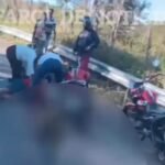 acidente-provocado-por-cao-deixa-feridos-entre-serra-talhada-e-triunfo