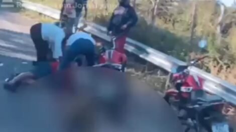 acidente-provocado-por-cao-deixa-feridos-entre-serra-talhada-e-triunfo