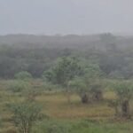 domingo-de-chuvas-em-boa-parte-do-estado