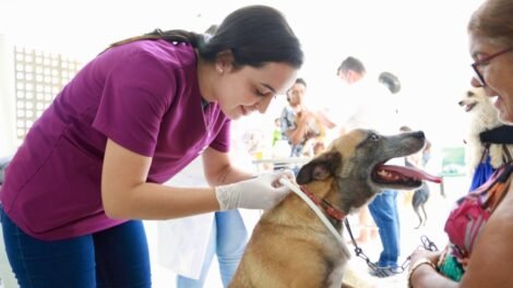 prefeitura-de-serra-talhada-apresenta-balanco-de-acoes-na-area-de-protecao-e-bem-estar-animal