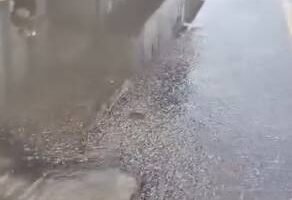 mppe-investiga-compesa-por-vazamento-em-petrolina;-afogados-vive-problema-parecido