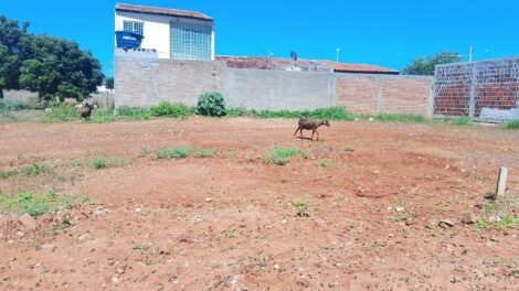 terrenos-a-venda-na-cidade-de-carnaiba