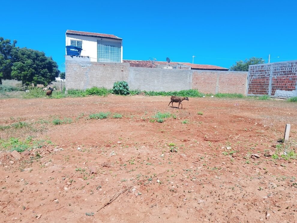 terrenos-a-venda-na-cidade-de-carnaiba