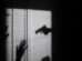 feminicidios-com-arma-de-fogo-crescem-45%-em-2025-e-recife-lidera-numero-de-casos