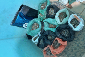 adolescente-e-apreendido-com-mais-de-1,4-mil-porcoes-de-drogas-no-vasco-da-gama,-no-recife