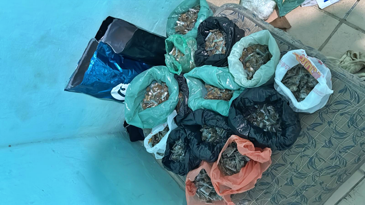 adolescente-e-apreendido-com-mais-de-1,4-mil-porcoes-de-drogas-no-vasco-da-gama,-no-recife