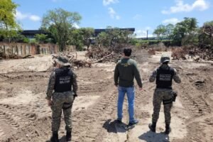 cprh-autua-prefeitura-do-recife-por-novo-desmatamento-ilegal-em-area-embargada-de-boa-viagem