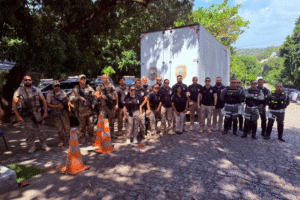 operacao-droga-zero:-policia-civil-incinera-mais-de-1,3-tonelada-de-entorpecentes-na-regiao-metropolitana-do-recife