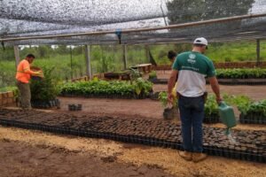 prefeitura-da-quixaba-conclui-curso-de-construcao-de-viveiros,-viveirista-e-agricultura-organica-na-vila-das-queimadas