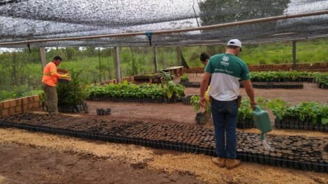 prefeitura-da-quixaba-conclui-curso-de-construcao-de-viveiros,-viveirista-e-agricultura-organica-na-vila-das-queimadas