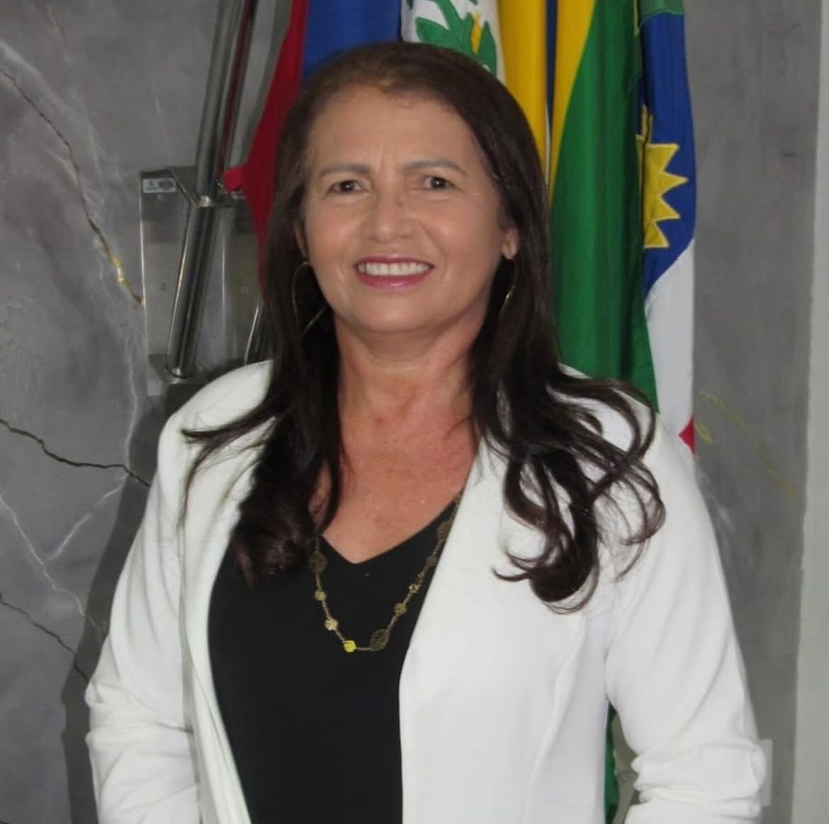 vereadora-simone-da-feira-destina-r$-82-mil-em-emenda-impositiva-para-fortalecer-a-clinica-veterinaria-municipal-de-afogados-da-ingazeira