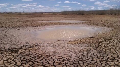 pernambuco-tem-107-municipios-em-situacao-de-emergencia-devido-a-seca