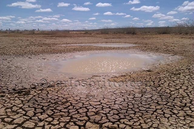 pernambuco-tem-107-municipios-em-situacao-de-emergencia-devido-a-seca