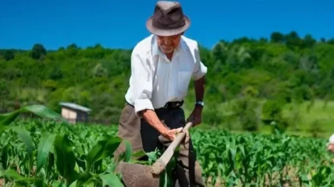 prefeitura-de-tavares-inicia-entrega-dos-boletos-do-garantia-safra-e-sementes-aos-agricultores
