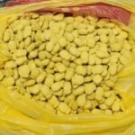 policia-desmonta-rede-de-trafico-de-drogas-sinteticas-no-recife-e-apreende-mais-de-600-comprimidos-de-ecstasy