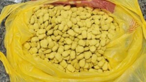 policia-desmonta-rede-de-trafico-de-drogas-sinteticas-no-recife-e-apreende-mais-de-600-comprimidos-de-ecstasy