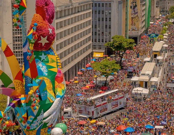 criancas-sao-retiradas-de-area-do-galo-da-madrugada-apos-mae-ser-flagrada-embriagada