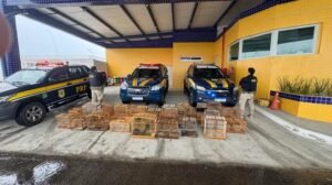 prf-resgata-132-aves-silvestres-na-br-407,-em-petrolina