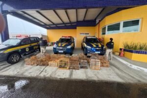 prf-resgata-132-aves-silvestres-na-br-407,-em-petrolina