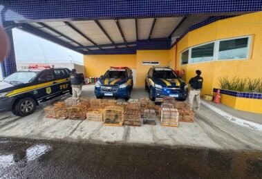 prf-resgata-132-aves-silvestres-na-br-407,-em-petrolina